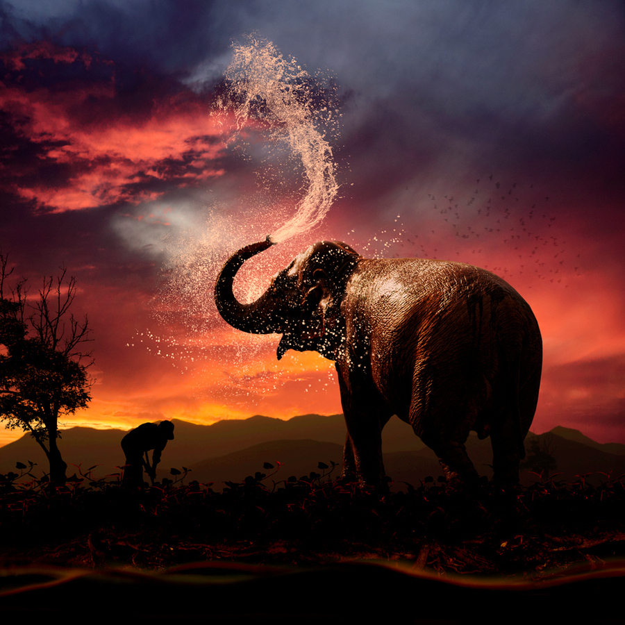 Cooling down by Caras Ionut
